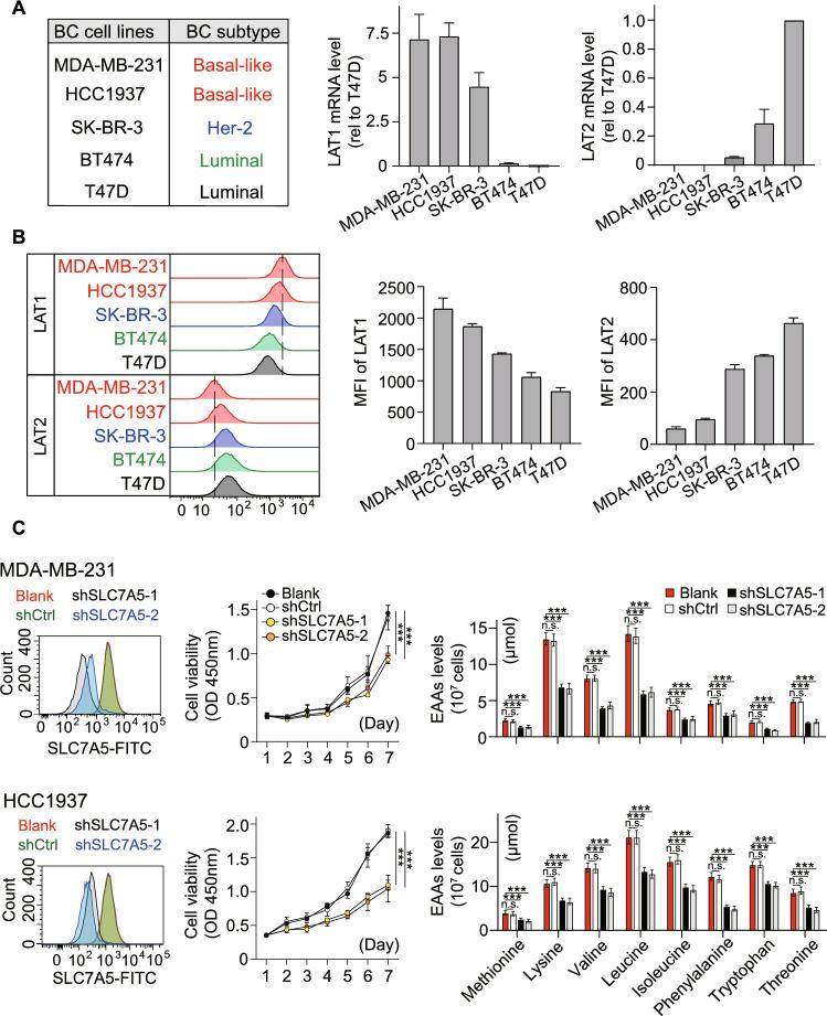 https://cdn.ncbi.nlm.nih.gov/pmc/blobs/33e5/12084285/f1641099f493/726_2025_3456_Fig3_HTML.jpg