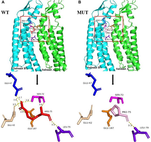 https://cdn.ncbi.nlm.nih.gov/pmc/blobs/33e5/9354265/6d1475a03c92/fgene-13-938639-g002.jpg