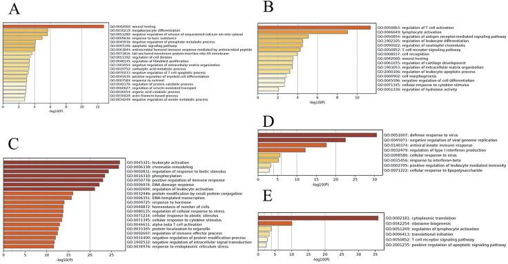 https://cdn.ncbi.nlm.nih.gov/pmc/blobs/33e6/12371662/14a50b9018a8/10-1055-a-2661-6472_26629147.jpg