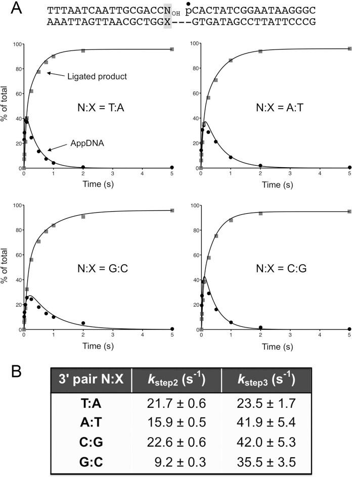 https://cdn.ncbi.nlm.nih.gov/pmc/blobs/33e6/4797296/70f58e19c190/gkw049fig2.jpg