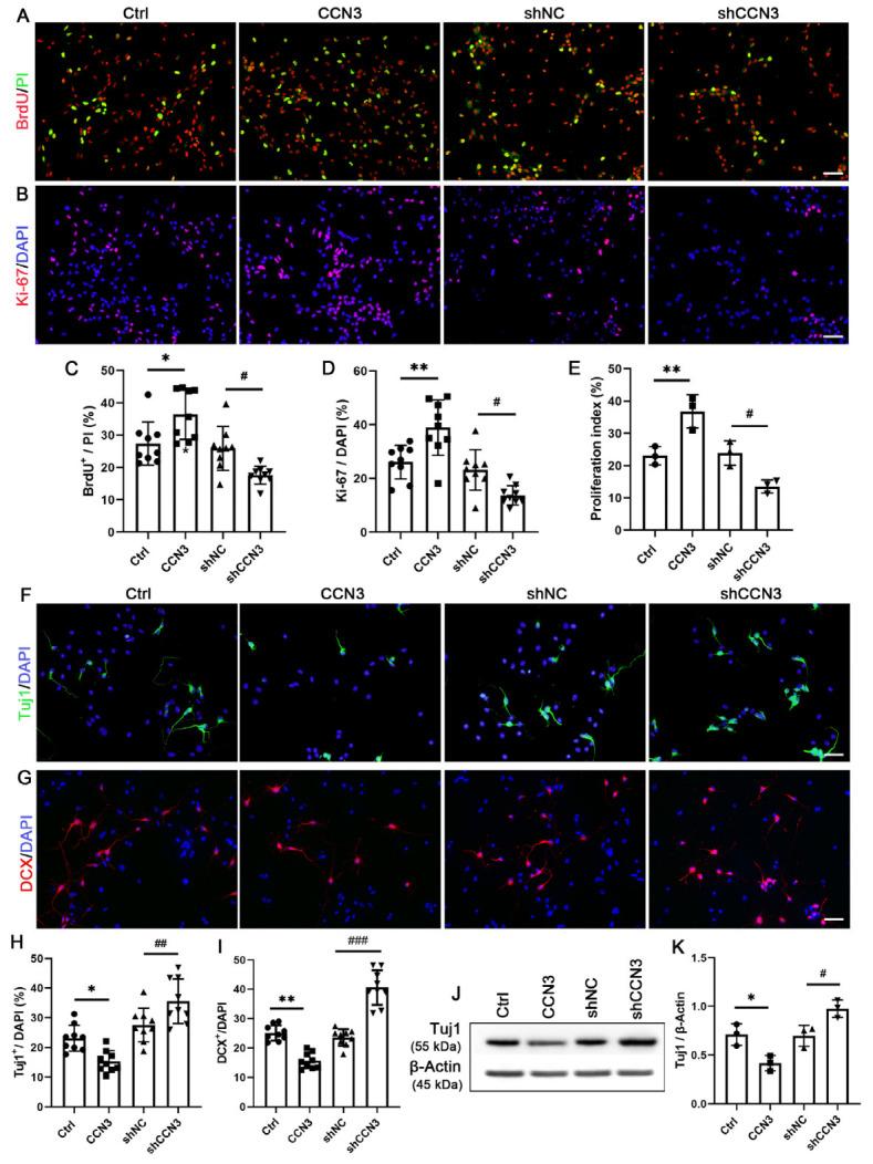 https://cdn.ncbi.nlm.nih.gov/pmc/blobs/33e8/10299577/55f7b297019d/ijms-24-10324-g005.jpg