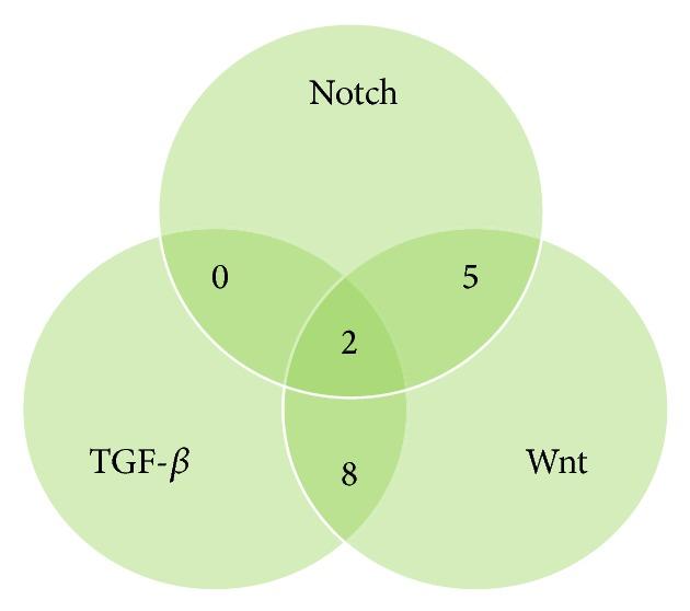 https://cdn.ncbi.nlm.nih.gov/pmc/blobs/33e9/4390187/89702043ee19/JO2015-198967.002.jpg