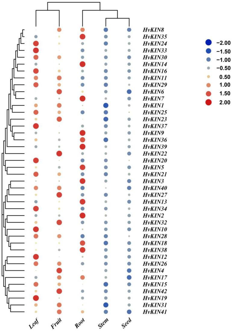 https://cdn.ncbi.nlm.nih.gov/pmc/blobs/33e9/9778244/2ca23e96972a/genes-13-02376-g009.jpg