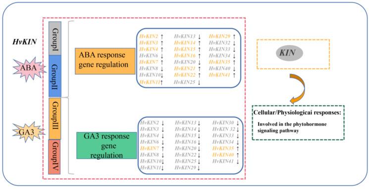 https://cdn.ncbi.nlm.nih.gov/pmc/blobs/33e9/9778244/3a092260b989/genes-13-02376-g011.jpg