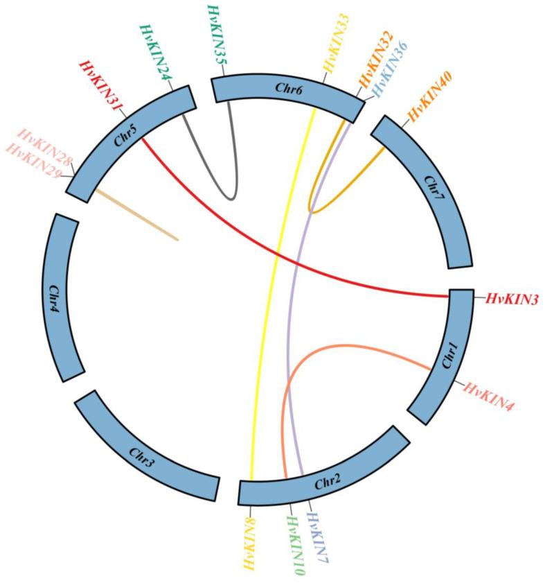https://cdn.ncbi.nlm.nih.gov/pmc/blobs/33e9/9778244/ca9ff5289325/genes-13-02376-g006.jpg