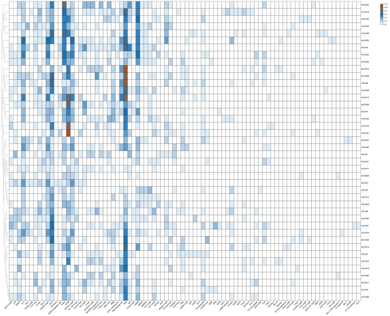 https://cdn.ncbi.nlm.nih.gov/pmc/blobs/33e9/9778244/da17016e94fd/genes-13-02376-g005.jpg