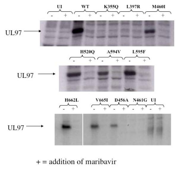 https://cdn.ncbi.nlm.nih.gov/pmc/blobs/33ea/3050433/fde221d0a4d4/2042-4280-1-4-5.jpg