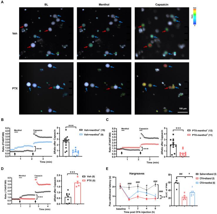 https://cdn.ncbi.nlm.nih.gov/pmc/blobs/33ed/11171746/68dfea263d25/ijms-25-05813-g007.jpg