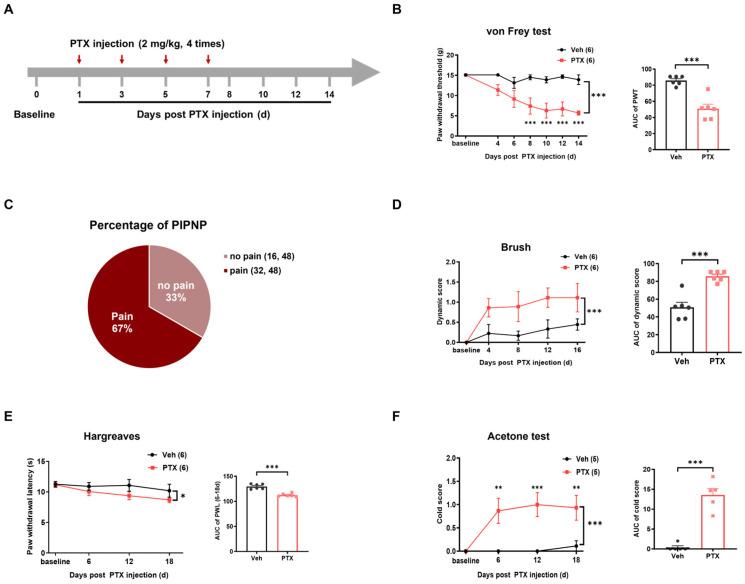 https://cdn.ncbi.nlm.nih.gov/pmc/blobs/33ed/11171746/f8d4493a1a78/ijms-25-05813-g001.jpg