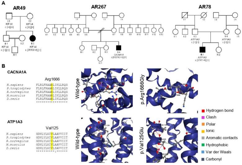 https://cdn.ncbi.nlm.nih.gov/pmc/blobs/33f1/8946949/30c33a7ef672/cells-11-00981-g002.jpg