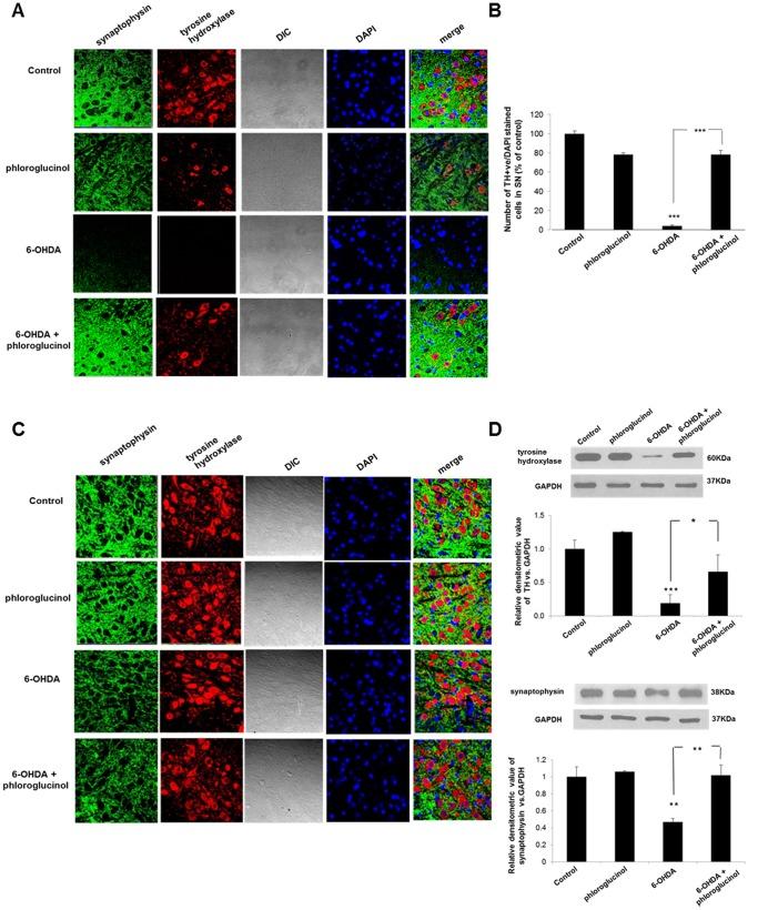 https://cdn.ncbi.nlm.nih.gov/pmc/blobs/33f2/3748069/068b0ed6d5e8/pone.0071178.g002.jpg