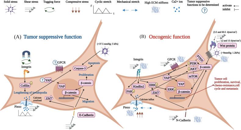 https://cdn.ncbi.nlm.nih.gov/pmc/blobs/33f3/10656290/151e7d8b5f80/41388_2023_2844_Fig3_HTML.jpg