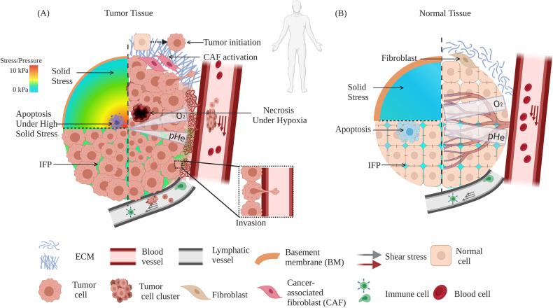 https://cdn.ncbi.nlm.nih.gov/pmc/blobs/33f3/10656290/48731e764e25/41388_2023_2844_Fig1_HTML.jpg
