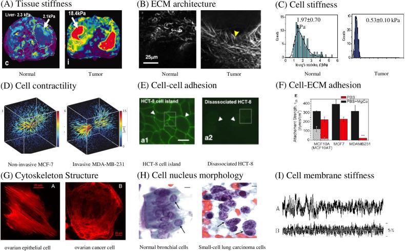 https://cdn.ncbi.nlm.nih.gov/pmc/blobs/33f3/10656290/91c333c51104/41388_2023_2844_Fig2_HTML.jpg