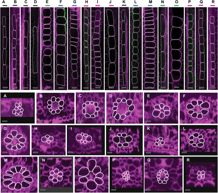 https://cdn.ncbi.nlm.nih.gov/pmc/blobs/33f3/6018992/8015f32e0891/erx45605.jpg