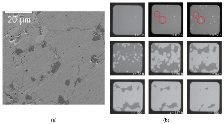 https://cdn.ncbi.nlm.nih.gov/pmc/blobs/33f5/9694325/a5f8fd85b3c0/materials-15-08004-g006.jpg