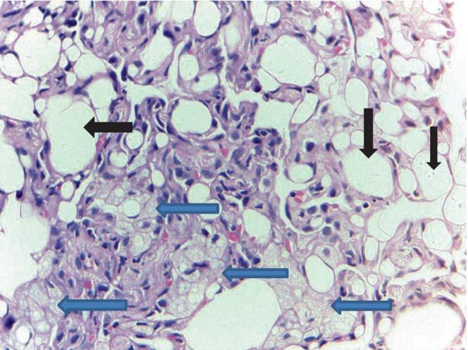 https://cdn.ncbi.nlm.nih.gov/pmc/blobs/33f7/12135025/80e4eb2a57f2/RCR2-13-e70227-g004.jpg