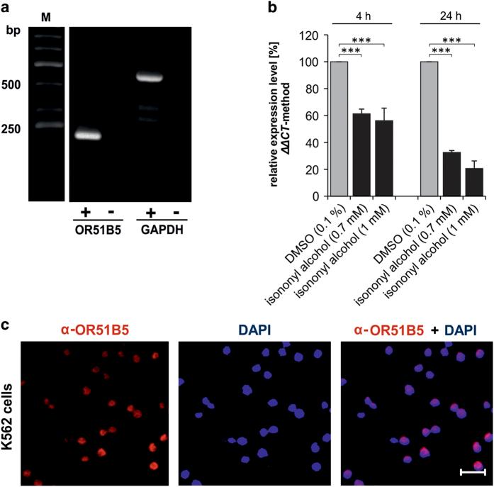 https://cdn.ncbi.nlm.nih.gov/pmc/blobs/33f8/4979495/163886c77ac8/cddiscovery201610-f1.jpg