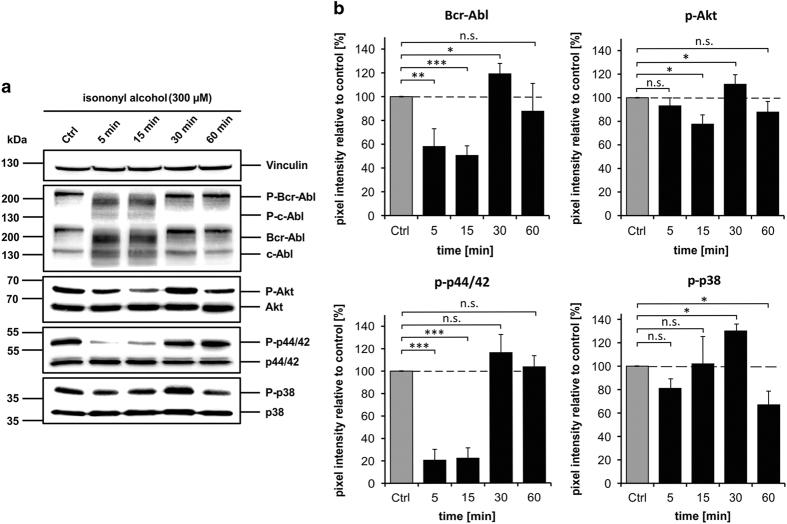 https://cdn.ncbi.nlm.nih.gov/pmc/blobs/33f8/4979495/621b39d6a347/cddiscovery201610-f5.jpg