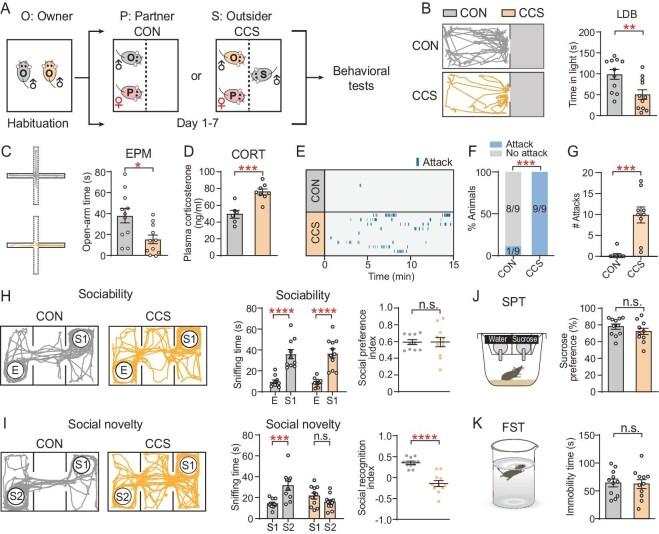 https://cdn.ncbi.nlm.nih.gov/pmc/blobs/33fb/12418936/da41eab25ec4/nwaf152fig1.jpg