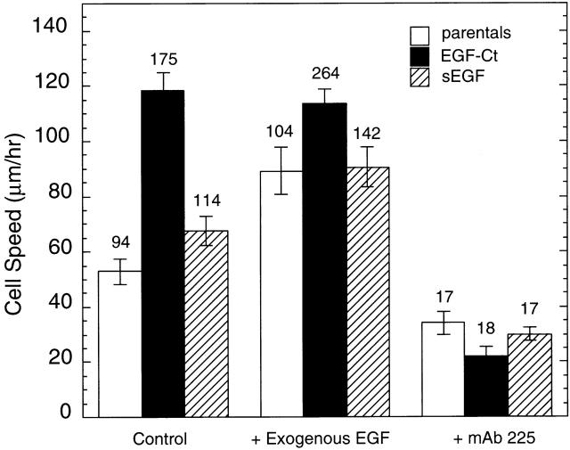 https://cdn.ncbi.nlm.nih.gov/pmc/blobs/33fc/2199328/fa2577cd3c23/0109060f2.jpg