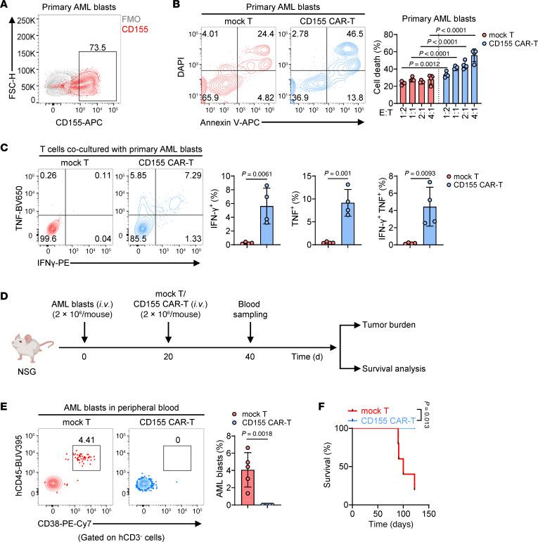 https://cdn.ncbi.nlm.nih.gov/pmc/blobs/33fe/12321399/a744c7277a6e/jci-135-189920-g200.jpg