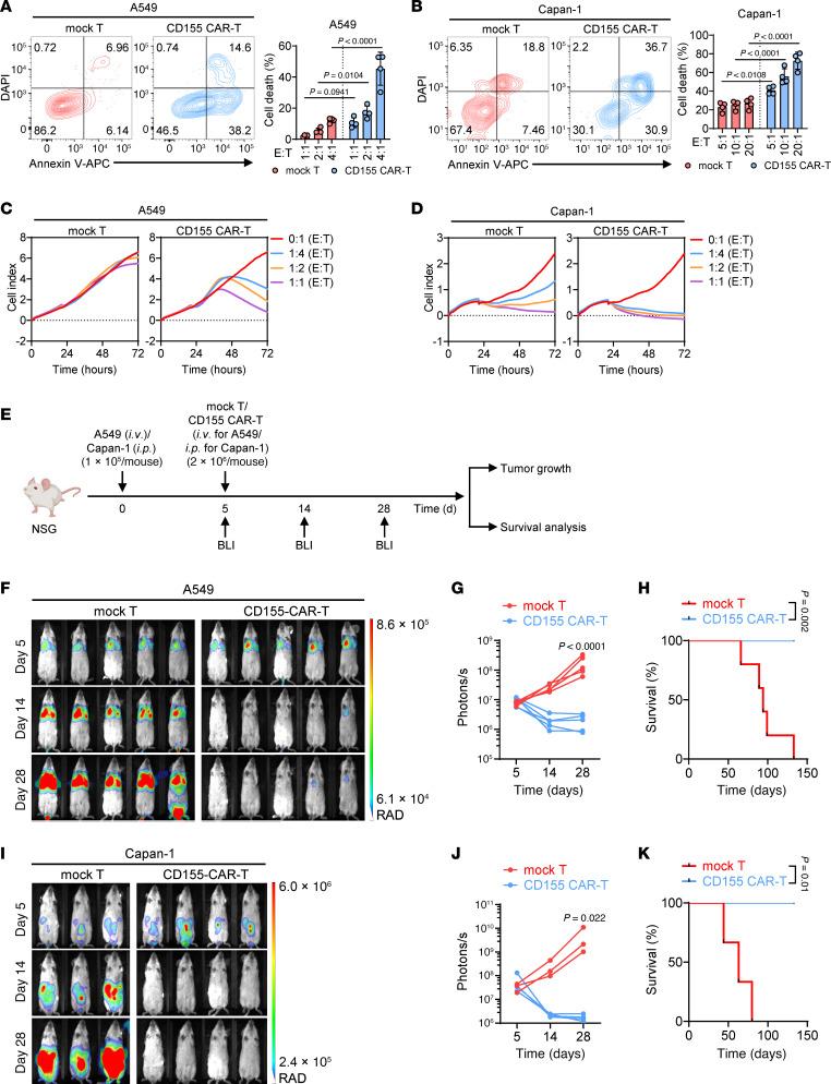 https://cdn.ncbi.nlm.nih.gov/pmc/blobs/33fe/12321399/b7913cbc8ab8/jci-135-189920-g201.jpg