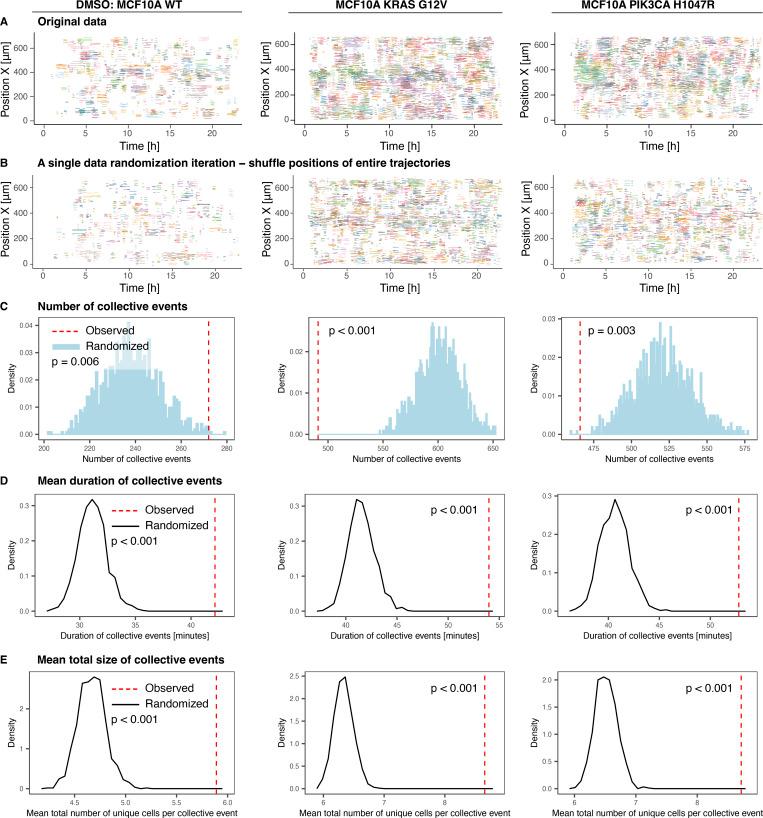 https://cdn.ncbi.nlm.nih.gov/pmc/blobs/3401/10374943/2ddccd02b73f/JCB_202207048_FigS2.jpg