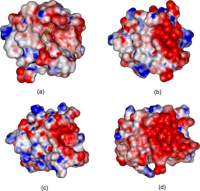 https://cdn.ncbi.nlm.nih.gov/pmc/blobs/3401/1356089/29c35279a4d2/pcbi.0020001.g004.jpg