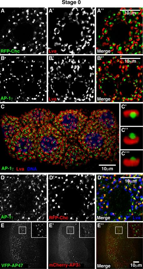 https://cdn.ncbi.nlm.nih.gov/pmc/blobs/3401/3113773/e9f30ce252b8/2094fig2.jpg