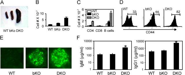 https://cdn.ncbi.nlm.nih.gov/pmc/blobs/3402/2212988/66fa6c985979/20051359f4.jpg