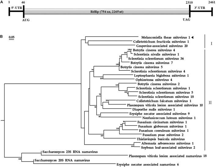https://cdn.ncbi.nlm.nih.gov/pmc/blobs/3404/8635788/8a8c92d81476/fmicb-12-757556-g002.jpg