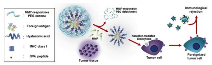 https://cdn.ncbi.nlm.nih.gov/pmc/blobs/3408/9413373/04671b494e0a/nanomaterials-12-02851-g007.jpg