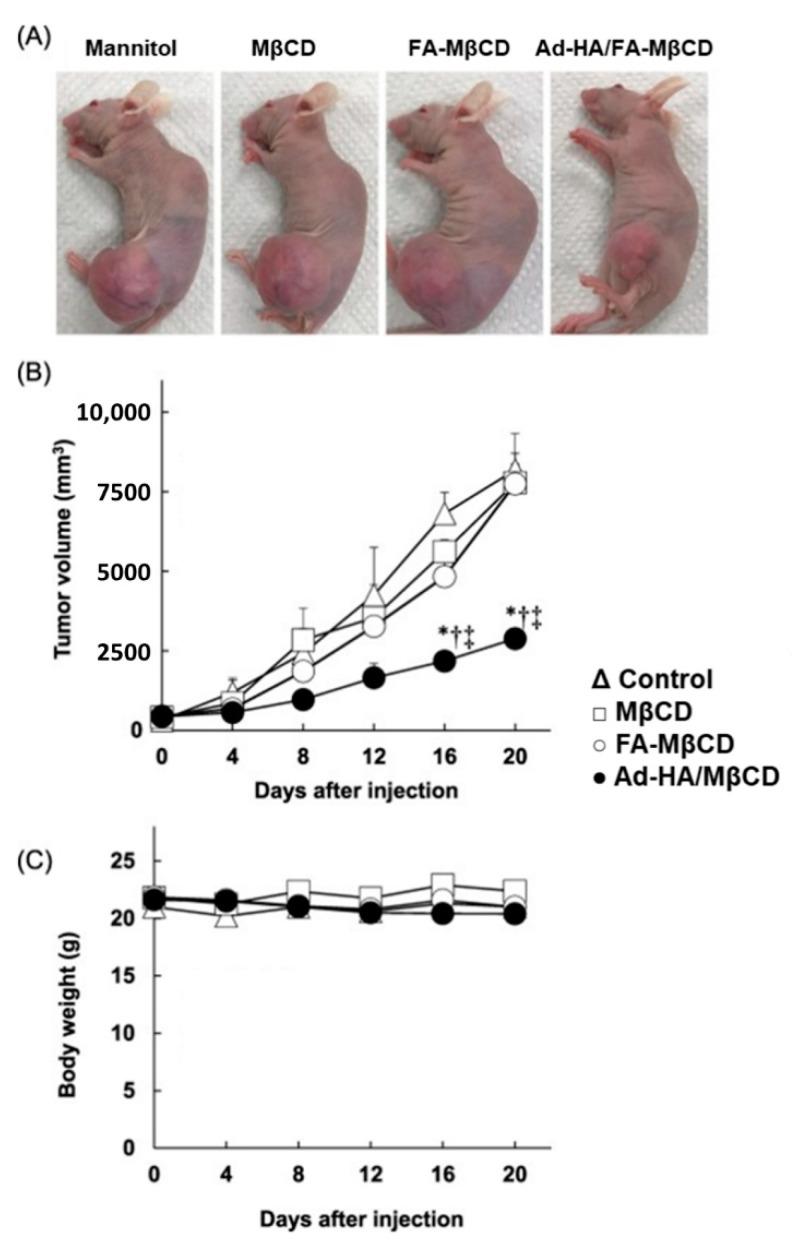 https://cdn.ncbi.nlm.nih.gov/pmc/blobs/3408/9413373/61662276cdbe/nanomaterials-12-02851-g006.jpg