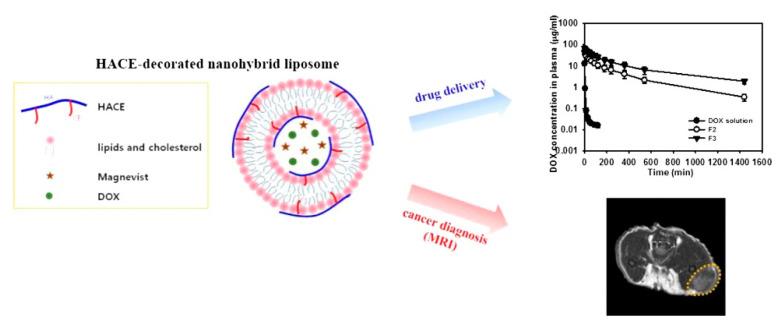 https://cdn.ncbi.nlm.nih.gov/pmc/blobs/3408/9413373/dded977241e7/nanomaterials-12-02851-g004.jpg
