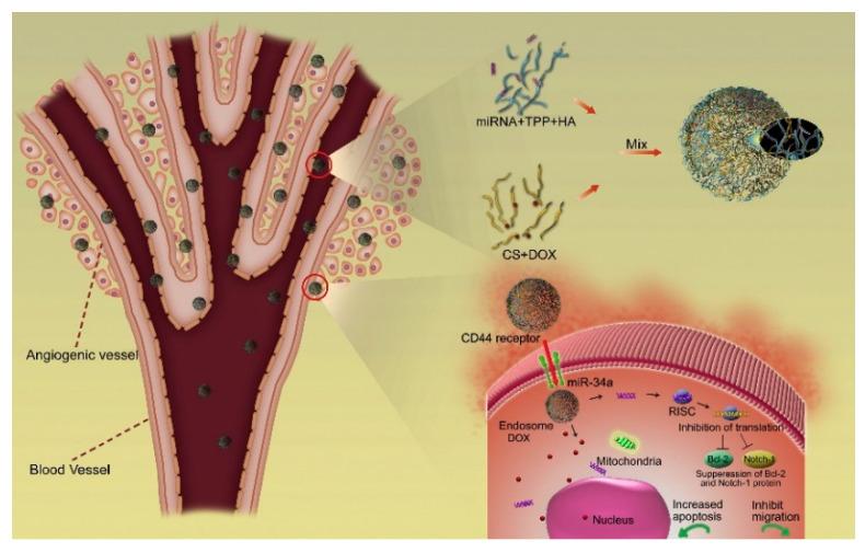 https://cdn.ncbi.nlm.nih.gov/pmc/blobs/3408/9413373/ef47544a5aa7/nanomaterials-12-02851-g002.jpg
