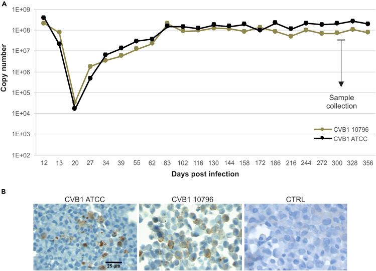 https://cdn.ncbi.nlm.nih.gov/pmc/blobs/3409/6699423/13b13438c2e2/gr1.jpg