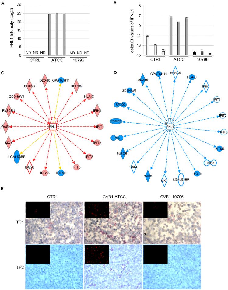 https://cdn.ncbi.nlm.nih.gov/pmc/blobs/3409/6699423/e011fda074b8/gr7.jpg