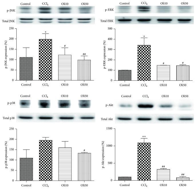 https://cdn.ncbi.nlm.nih.gov/pmc/blobs/340a/4699077/c76a3dbc3f59/OMCL2016-3935841.009.jpg