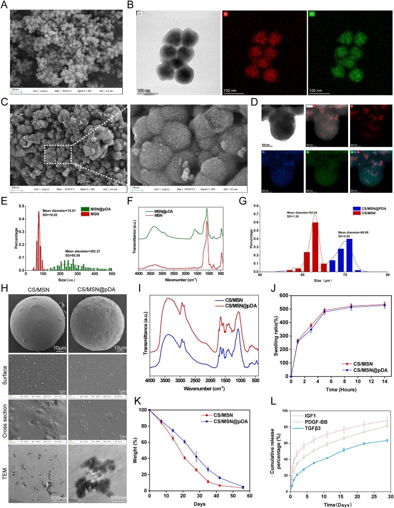 https://cdn.ncbi.nlm.nih.gov/pmc/blobs/340e/11299526/cb1c01699b36/gr1.jpg