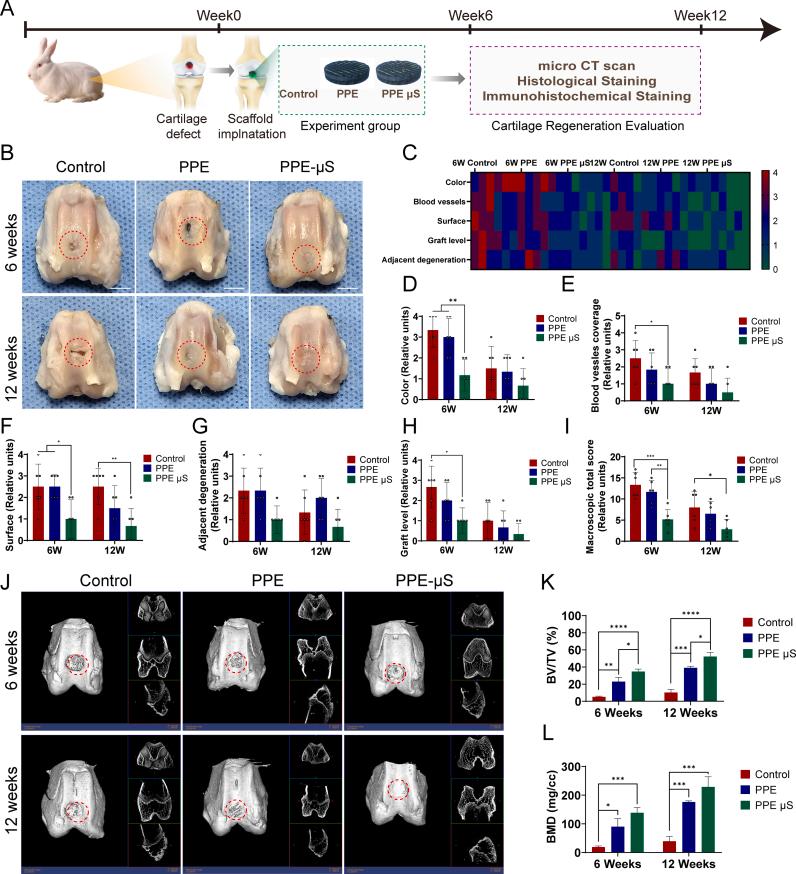 https://cdn.ncbi.nlm.nih.gov/pmc/blobs/340e/11299526/f02dddbf3b00/gr8.jpg