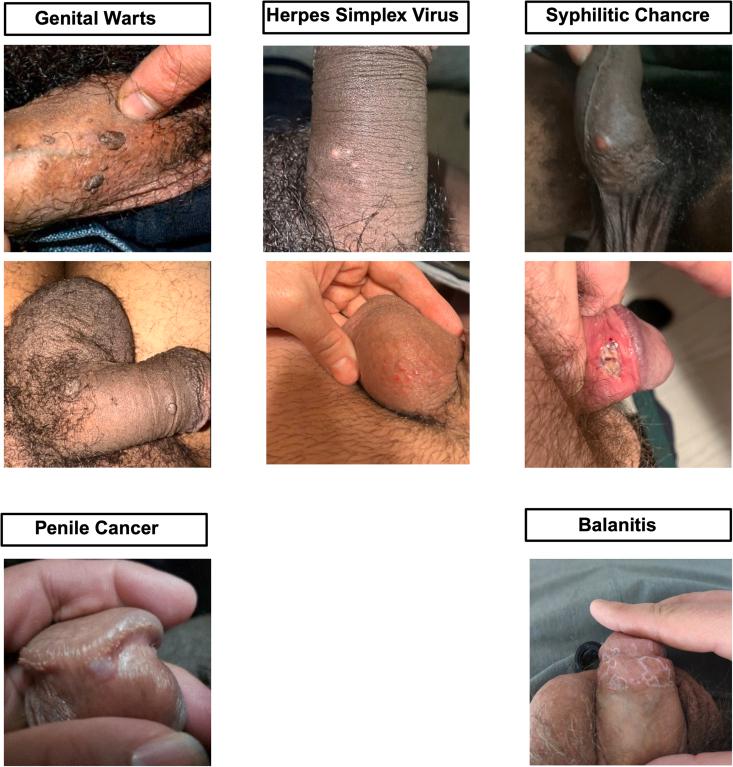 https://cdn.ncbi.nlm.nih.gov/pmc/blobs/340e/11975829/d1dcfeab7b38/gr2.jpg