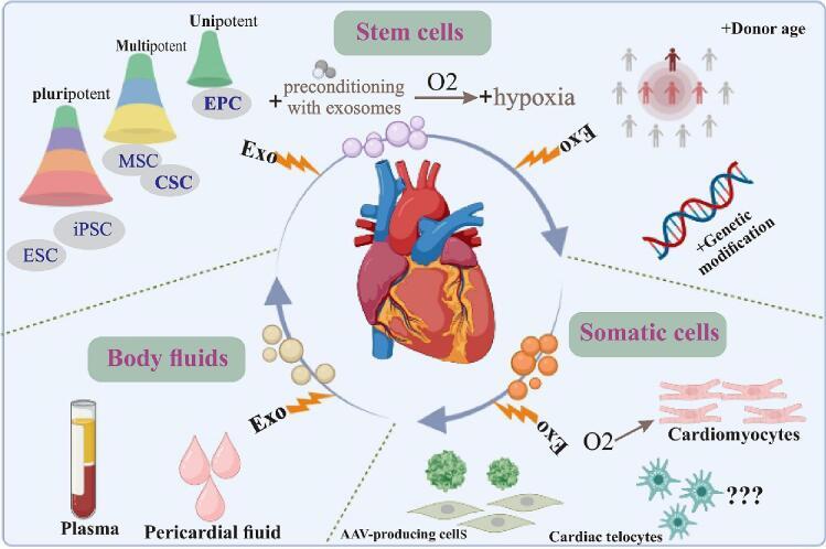 https://cdn.ncbi.nlm.nih.gov/pmc/blobs/340f/10990901/71f06a660657/gr1.jpg