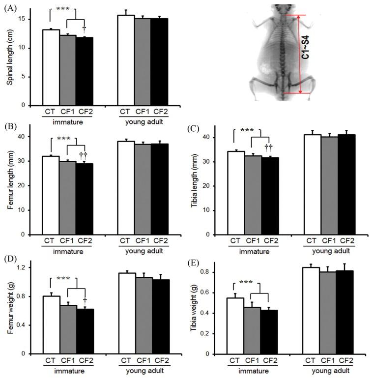 https://cdn.ncbi.nlm.nih.gov/pmc/blobs/3410/5426506/b7436513a969/tr-33-157f3.jpg