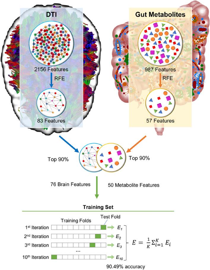 https://cdn.ncbi.nlm.nih.gov/pmc/blobs/3411/10073225/8688655acd88/41598_2023_32713_Fig1_HTML.jpg