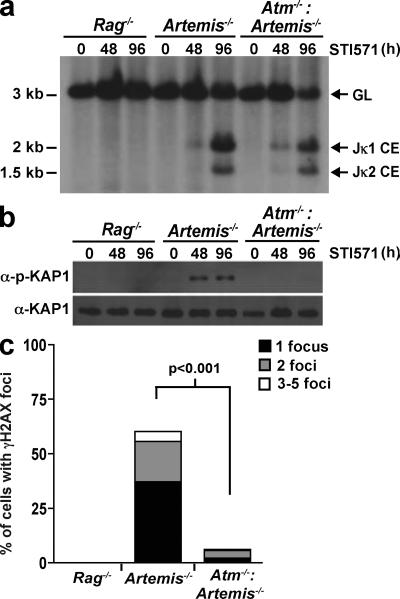 https://cdn.ncbi.nlm.nih.gov/pmc/blobs/3413/2699138/0304804257de/JEM_20081326_GS_Fig3.jpg