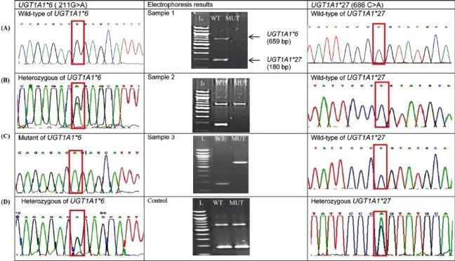https://cdn.ncbi.nlm.nih.gov/pmc/blobs/3413/3461737/0f73da833a3a/IJMR-136-249-g002.jpg