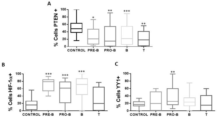 https://cdn.ncbi.nlm.nih.gov/pmc/blobs/3415/11276810/360be6cab550/ijms-25-07767-g005.jpg