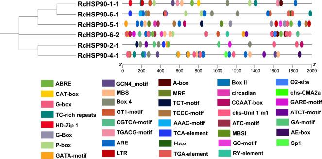 https://cdn.ncbi.nlm.nih.gov/pmc/blobs/3415/11330952/44e32c0e6e9e/13205_2024_4052_Fig5_HTML.jpg