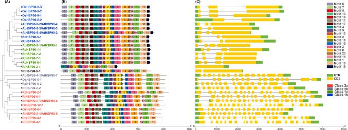 https://cdn.ncbi.nlm.nih.gov/pmc/blobs/3415/11330952/947b68ee2d97/13205_2024_4052_Fig4_HTML.jpg